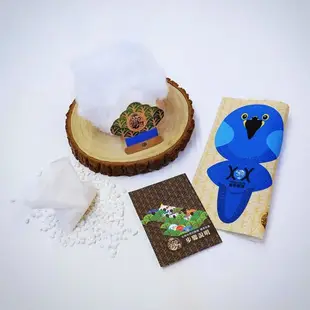 DIY手作鸚鵡 ∣ 紫藍金剛 Macaw ‧ 紙鎮手作材料包