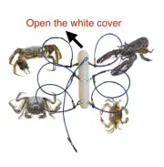 8pc LOBSTER TRAP SNARE CAGE POT PIER BOAT ROD BEACH SEA FISHING