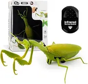 Foedoy Infrared Remote Control Praying Mantis Model Toy Electric Halloween Prank Children's Toys robo Alive Giant Python x Snake Early Education Puzzle