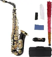 Domary EB Alto Saxophone Brass Lacquered Gold E Flat Sax 82Z Key Type Woodwind Instrument with Cleaning Brush Cloth Gloves Strap Padded Case