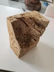 Spalted Maple Block Bug Holes Great Epoxy blank Turning Wood Knarly #352