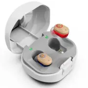 1 Pair Invisible Rechargeable Mini In Ear Digital Hearing Aids Sound Amplifier