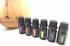 400ml Aromatherapy Essential Oil Diffuser Set w/ 6 10ml bottles assorted scents