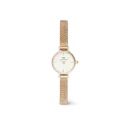 Daniel Wellington Petite Mini Evergold Watch