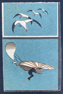 Mint Russia Picture Postcard Early Aviation otto lilienthal and storks