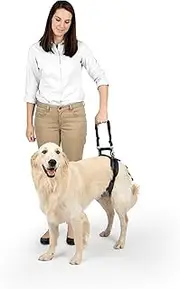 PetSafe CareLift Rear Support Harness - Lifting aid with Handle and Shoulder Strap - Great for pet Mobility and Older Dogs - Comfortable, Breathable Material - Easy to Adjust - Large
