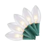 Home Accents Holiday 25-Count Clear Incandescent C9 Lights