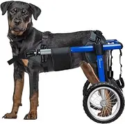 Large Dog Wheelchair for Back Legs, Upgraded All-Terrain Tires & Durable Bearings, Dog Wheelchair for 49-75 CM, 88-132 lbs Disabled or Injured Large Dogs(XXL)