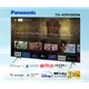《Panasonic 國際牌》Android TV 43吋 4K聯網 液晶電視 TH-43MX800W (不含視訊盒)(安裝另計)