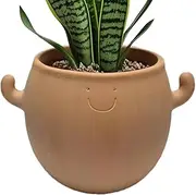 Swing Face Planter Pot - Small Cactus Succulent Hanging Planter | Smile Face Hanging Plant Pot | Ceramic Plante for Bonsai Gardening Yard Balcony Courtyard Workplace Men Women Planting Desk