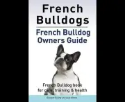 French Bulldogs. French Bulldog owners guide. French Bulldog book for care, training & health.