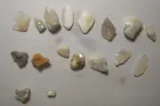 60 Cts Natural Austerliyen Opal Good Quality Genuine Stone Free Form Lot