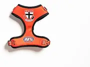 St Kilda Saints AFL Pet Harness, Official Supporter Gear for Dogs, Medium