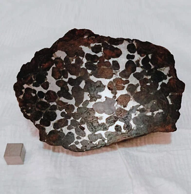 Meteorite Fusion Crust 601 Grams Pallasite Kenya