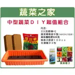 【蔬菜之家滿額免運】中型蔬菜DIY超值組合(型號Z01A)(含磚.盆.肥料.種子.無患子液)種植箱 蔬菜箱 栽培箱