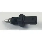 RAE Coolant Temperature Sensor - CS892