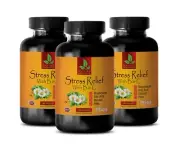 super stress b complex with vitamin c - STRESS RELIEF B & C - brain food 3 BOTTL
