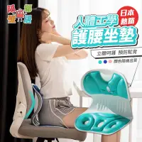 在飛比找蝦皮購物優惠-現貨特賣 日本熱銷人體工學護腰坐墊 坐墊 靠墊 護腰坐墊