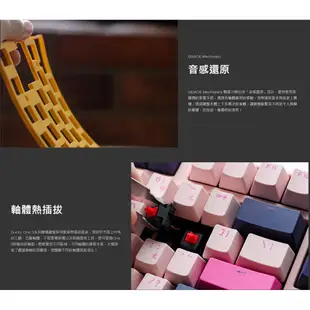 Ducky創傑 One3 富士 機械式鍵盤/熱插拔/有線/中文/PBT/二色/藍粉/粉藍蓋/Fuji/原價屋