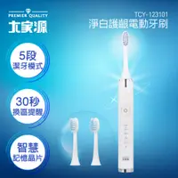 在飛比找e-Payless百利市購物中心優惠-【大家源】淨白護齦電動牙刷 TCY-123101