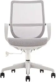 Stable Lift Swive Office Chair，Comfortable Breathable Mesh Fabric Desk Chair with Nylon Feet，Silent Pulley Computer Chair Mobile