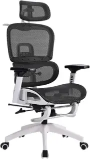 Furb Ergonomic Office Chair with Breathable Mesh, Adjustable Headrest and Lum...