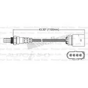 PAT Oxygen Sensor - EGO-111
