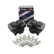 Bosch 2 Ignition Coil NGK 8 Ruthenium HX Spark Plug Kit For Discovery 348 TB V8 (for: Porsche)