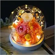 Wedding Decor Rose LED Light Preserved Flower in Glass Cover Mothers Day Gifts Birthday Party Valentines Day(Yellow)