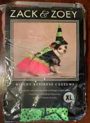 Halloween Dog Costume + Hat Witchy Business Shimmering Black, Pink & Green - XL