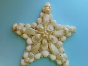 Sea Shell Star Fish Wall Plaque-Artist Created- Coastal Wall Home Decor