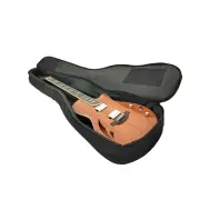 The Swiss Army Knife of Hybird Electric-Acoustic Guitars MULTISPECIALIST2
