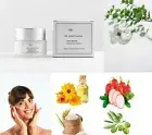 REPAIRING ANTI-AGING CREAM SKIN REPAIR Dr Jorge Planas Facial Aging Solution