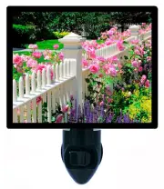Flower Decorative Photo Night Light, Pink Roses on Fence, Summer, Garden