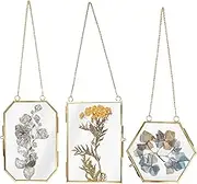 3Pcs Assorted Styles Pressed Flowers Display Frames With Metal Chain Multipurpose Glass Hanging Mini Photo Frames for Dried Flowers Plants Artwork Display