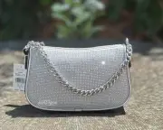 Michael Kors Carmela Small Sparkling Rhinestone Pouchette Crossbody Bag Purse MK