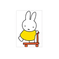 在飛比找蝦皮商城優惠-hype Greeting Card/ Miffy 48 e