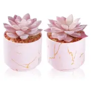 ZENIDA Succulent Artificial Plants,Cute Fake Succulents in 2 Pink Ceramic