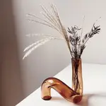 MOLLY莫里 異形玻璃花瓶北歐INS彎曲造型透明藝術燭臺擺件水培花器 水生植物花器 創意花瓶插花器 玻璃花器 乾燥花插