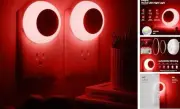 Night Light, Night Lights Plug into Wall, Dusk to Dawn Sensor, Red Led Night