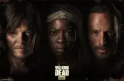 AMC FILMS THE WALKING DEAD TRIO POSTER DARYL MICHONNE RICK NEW 34X22 FREE SHIP