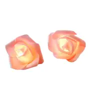 NNETM Romantic LED Rose String Lights