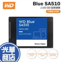 在飛比找蝦皮購物優惠-WD 威騰 藍標 SA510 250GB 500GB 1TB