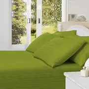 Noble Comfort Linen 16-20 inches Pocket 600 TC 100% Egyptian Cotton Hotel Finish Adjustable 1-Piece Waterbed Fitted Sheet.(Queen, Stripe, Parrot Green)