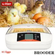 Automatic 41 Egg Incubator Digital Led Auto Turning Chicken Egg Poultry 220V 80W
