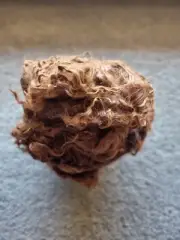 Alpaca Fleece 100% Natural Suri - 820grams. Colour - Brown WASHED. FIRST FLEECE