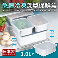 在飛比找momo購物網優惠-【日本製】急速冷凍深型保鮮盒3.0L(大)