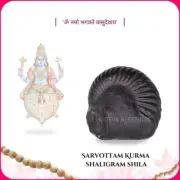 Adbhut Maha Vishnu Anant Shesha Shaligram Shila - EBS60