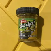 Berkley Gulp Alive Corn 1/4" Yellow 2.2oz Jar GAJCN-Y. D4