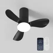 26" Ceiling Fan Light with Lights and Remote & APP Control Low Profile Fan Lamp